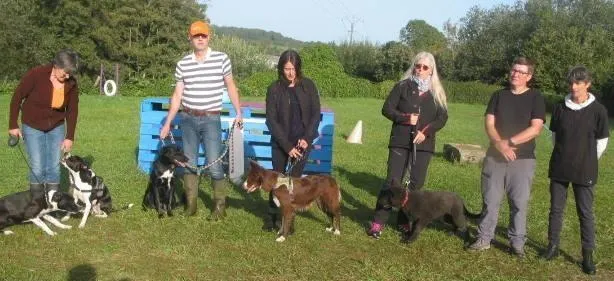 photo  les chiens sont accueillis en journée à la crèche de clotilde castelain.  &copy;  ouest-france 