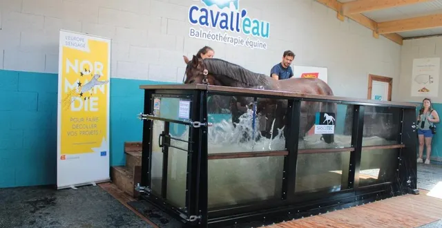 photo  démonstration de soin sur une jument en aquatraining, à la balnéothérapie cavall’eau, à montabard, lors de l’inauguration des installations.  &copy;  ouest-france 