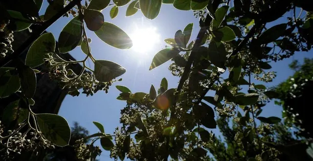 photo  le soleil ne veut pas céder sa place aux nuages et à la pluie dans le maine-et-loire qui n’a pas connu une averse de pluie significative depuis 21 jours.  &copy;  archives co – christophe bernard 