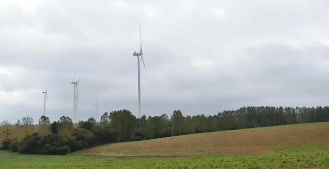 photo  dans la plaine de conlie.  &copy;  le maine libre 