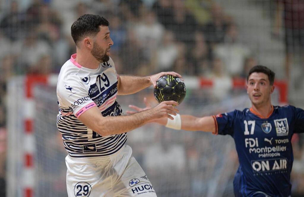 Handball. Starligue : La Revanche De Cesson . Sport - Lille.maville.com