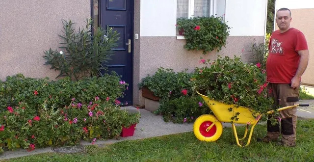 photo  vincent lebault est un véritable passionné de fleurs.  &copy;  le maine libre 