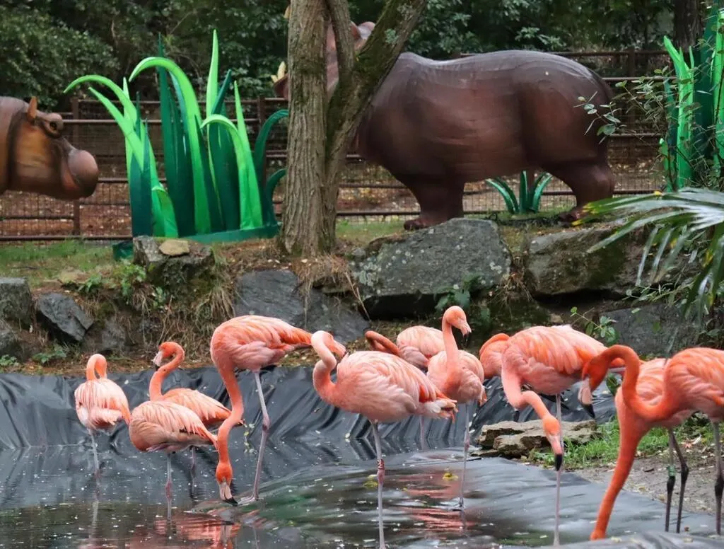 Terres de Natae. Le festival Les animaux de lumière s’ouvre jeudi Terres de Natae. Le festival Les animaux de lumière s’ouvre jeudi