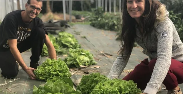 photo  sophie lagarenne et mathieu bourgeois lancent leurs jardins lageois, avec des commandes sur le web.  &copy;  le maine libre 