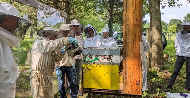photo  lors des cours pratiques, les apiculteurs débutants sont conseillés par des apiculteurs chevronnés, et apprennent les bons gestes.  &copy;  beelinked 