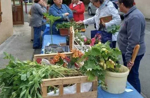 photo  de belles couleurs qui donnent envie d’échanger.  &copy;  le maine libre 