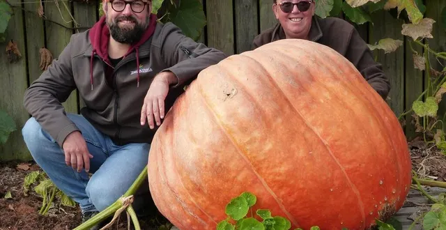 photo  boris barré, paysagiste de terra botanica, et véronique lancelot, maraîchère, présentent « atlantic géant », cultivée sur place. son poids ? 15 kg, quand sa maman en faisait 900.  &copy;  ouest-france 