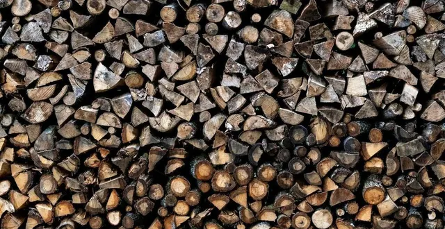 photo  l’arrachage, en février 2021, d’une haie refuge de biodiversité, lieu-dit la noraie, à challain-la-potherie (maine-et-loire) était illégal (photo d’illustration).  &copy;  kevin guyot / ouest-france 