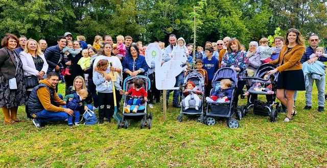 photo  les bébés nés en 2022 ont désormais leur arbre.  &copy;  le maine libre 