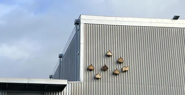 photo  des nichoirs pour des martinets noirs ont été installés sur la façade du quai des arts à argentan (orne).  &copy;  ouest-france 