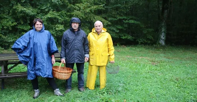 photo  une promenade en forêt pour une cueillette de champignons  pour christiane, clément et jean-louis.  &copy;  le maine libre 
