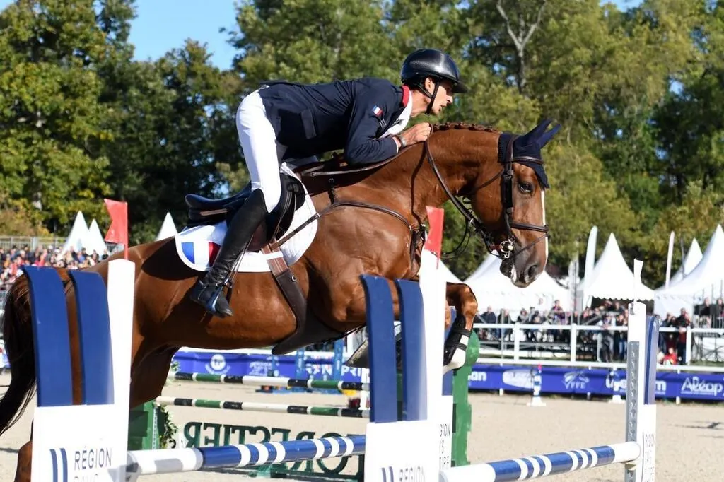 Tous Titres Equitation. Mondial du Lion Stéphane Landois vice