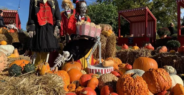 photo  le parc du végétal terra botanica est ouvert au public, de jour comme de nuit, durant les vacances scolaires, avant sa fermeture prévue le 6 novembre.  &copy;  co – emmanuel poupard 