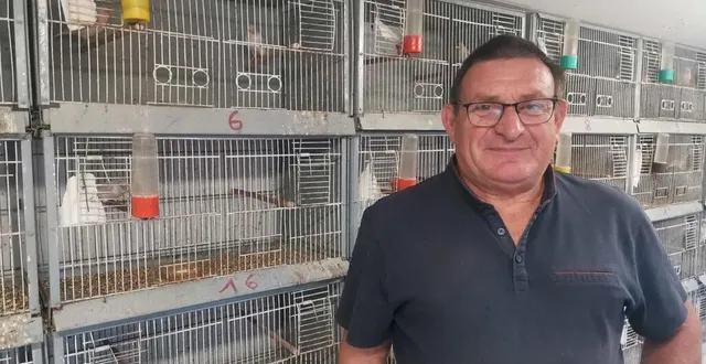 photo  jean-noël dronne, collectionneur et multiple médaillé, présentera une trentaine de canaris au concours régional.  &copy;  ouest-france 
