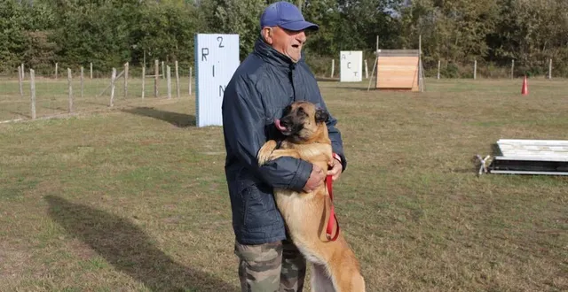 photo  jean, 85 ans, est très attaché à sa chienne malinoise petra. les samedi 28 et dimanche 29 octobre 2023, un concours de « ring » réunira des passionnés de dressage canin à thorée-les-pins.  &copy;  le maine libre 