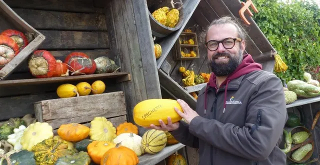 photo  à la « cucurbithèque », au parc terra botanica à angers (maine-et-loire), boris partage ses connaissances sur les centaines de variétés de courges.  &copy;  ouest-france 