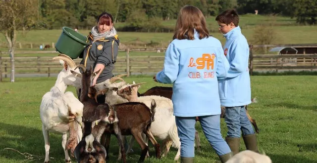 photo  des animations avant la fermeture hivernale.  &copy;  grand refuge spa 