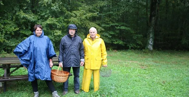 photo  mercredi 18 octobre, christine, clément et jean-louis, en famille sous la pluie, sont partis, pour le plaisir d’une cueillette de champignons, en forêt de perseigne.  &copy;  ouest-france 