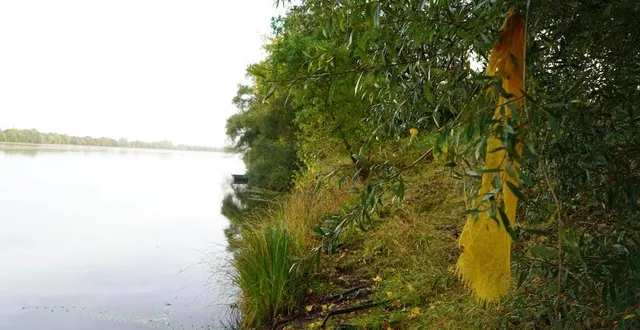 photo  face au lieu du drame provoqué par l’effondrement d’un banc de sable, là où dix-neuf enfants se sont noyés dans la loire en août 1969, une écharpe reste nouée dans les branches d’un arbre. comme un hommage.  &copy;  ouest-france 