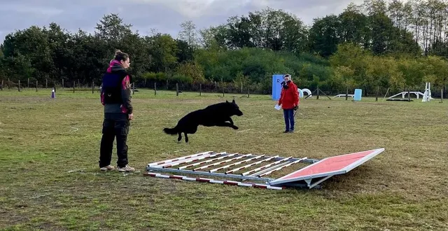 photo  épreuve de saut en longueur. à l’échelon 1, le chien saute entre 3,25 m et 3,50 m.  &copy;  ouest-france 