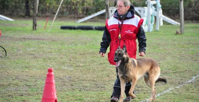 photo  lysiane, l’une des adhérentes du club lors de son épreuve du brevet avec son chien thyago.  &copy;  le maine libre 