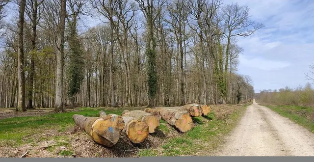photo  randonnées ancinnes  &copy;  fédération française de randonnée de la sarthe 