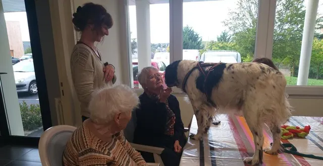 photo  gascon, le chien de marina, se prête volontiers aux caresses.  &copy;  le maine libre 