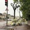 photo des sacs jaunes rue saint-denis à sablé-sur-sarthe.