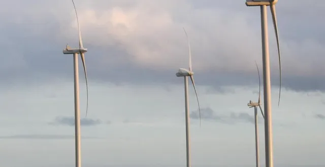 photo  dans la champagne conlinoise.  &copy;  le maine libre 