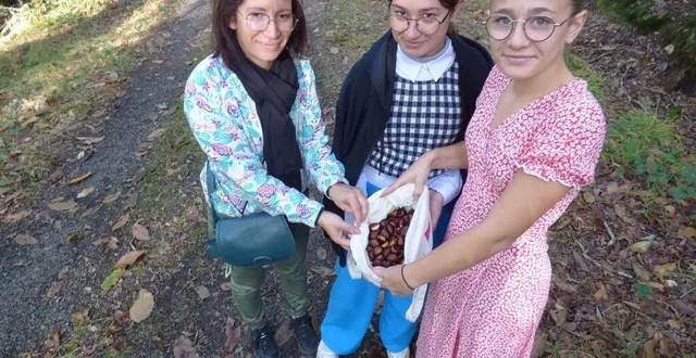 photo  bon début de récolte pour la famille mazure, en forêt de pincé.  &copy;  ouest-france 