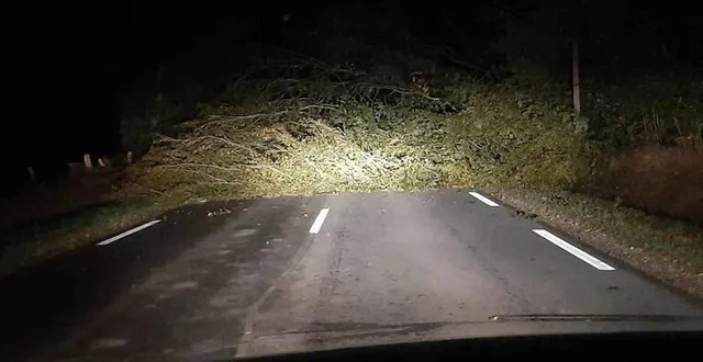 photo  plusieurs arbres sont tombés sur les routes de l’orne cette nuit à cause de la tempête ciaran, comme ici à la ferrière-aux-etangs.  &copy;  dr 