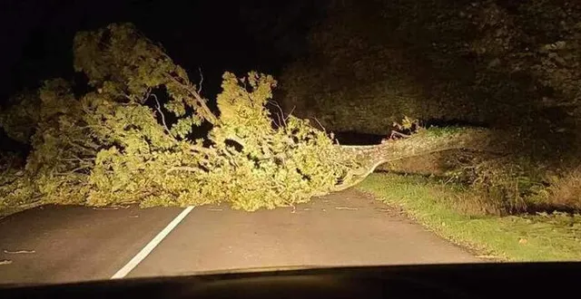 photo  plusieurs routes du département sont impraticables ce jeudi 2 novembre après la chute d’arbres causée part la tempête ciaran.  &copy;  dr 