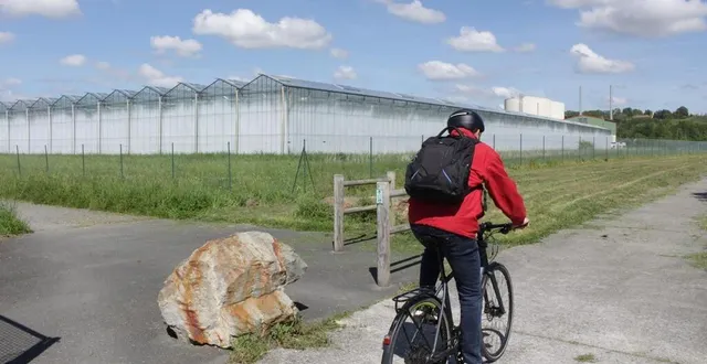 photo  située à la flèche aux portes du quartier des fleurs, l’entreprise agi serre s’étend sur 7 hectares et produit chaque année 3 000 tonnes de tomates et 1 000 tonnes de concombres.  &copy;  archives le maine libre 