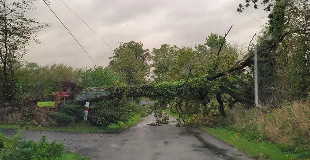photo  la chute d’arbres provoque des coupures de courant dans l’orne.  &copy;  dr 