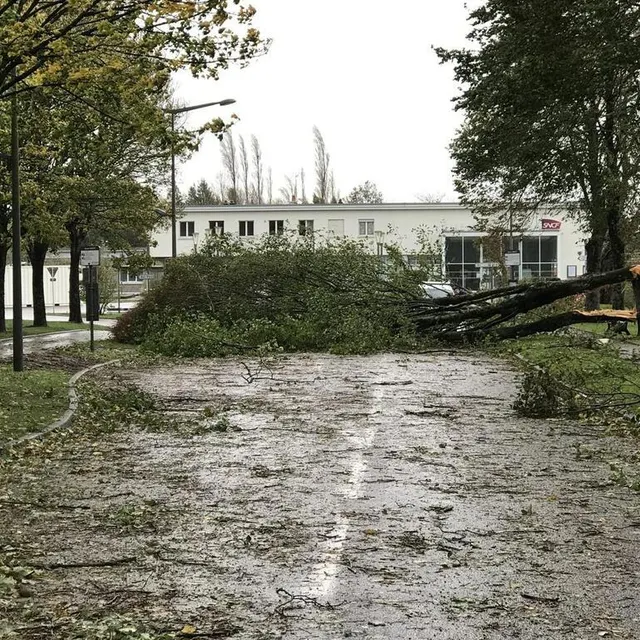L’accès à la gare de Coutances (Manche) est rendu difficile par un arbre tombé sur la route. Ouest-France photo l’accès à la gare de coutances (manche) est rendu difficile par un arbre tombé sur la route. © ouest-france