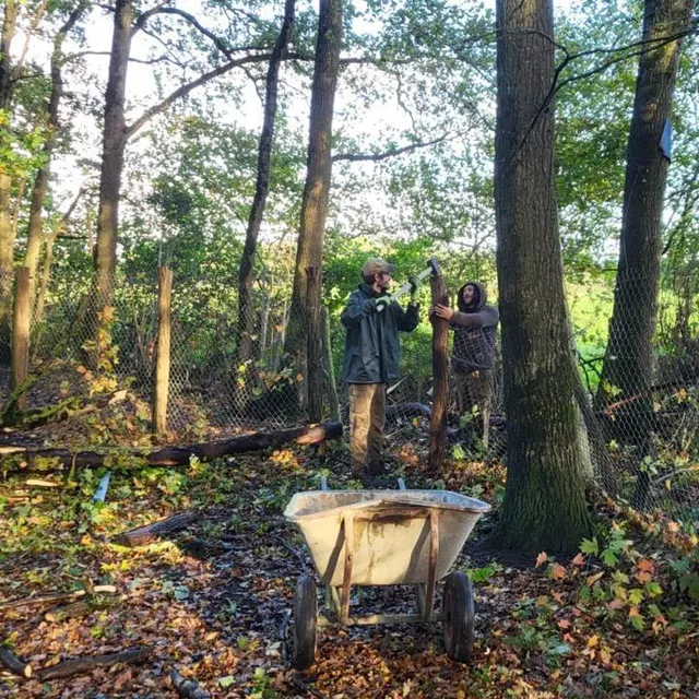 photo l’équipe du parc s’active pour réparer les clôtures de deux enclos touchés, ceux des kangourous et ceux des tatous.  ©  emmanuel lemonnier / spaycific’zoo