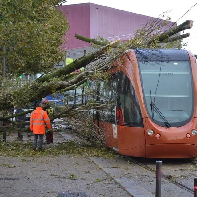 photo jeudi 2 novembre 2023, au lendemain du passage de la tempête ciaran au mans (sarthe), un arbre s’est abattu sur une rame de tramway.  ©  ouest-france