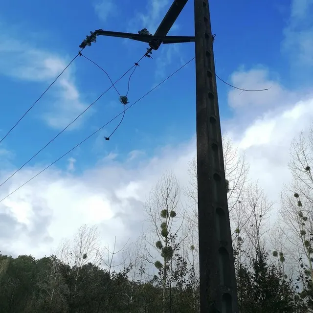 photo dans la commune de souligné-sous-ballon, sur l’axe courcebœufs – joué-l’abbé, dans les bois du crochet, un poteau edf a été sectionné. les fils pendent le long de la route.  ©  ouest-france
