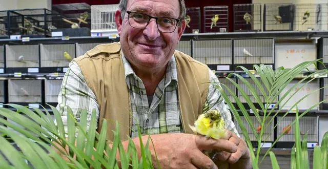 photo  jean noël dronne est éleveur de canaris et a été trois fois champion du monde dans la catégorie canaris de couleurs.  &copy;  photo le maine libre yvon loue 