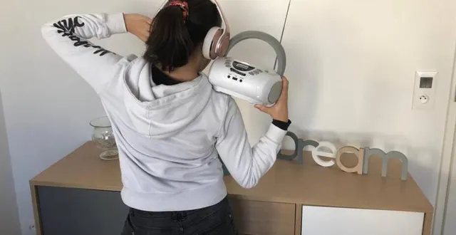 photo  connaissez-vous bien joe dassin ?  &copy;  photo le maine libre 