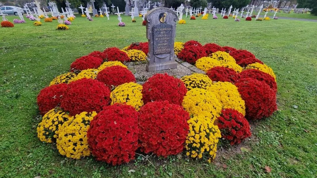 Plaque Métal, D-Day Normandie, Petit Modèle