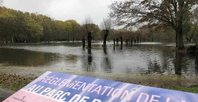 photo  comme à chaque fois que les pluies sont généreuses, le parc balzac est envahi par les eaux. et des oiseaux, notamment des hérons, s’y installent.  &copy;  ouest-france 