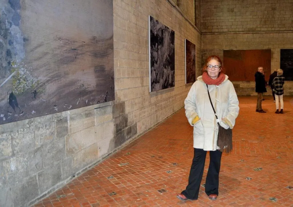 À Caen, des photos géantes pour découvrir le chantier du château « à ...