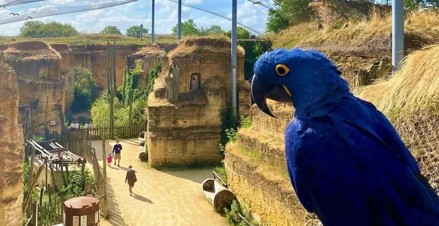 photo  le bioparc est le parc zoologique de doué-la-fontaine.  &copy;  bioparc 