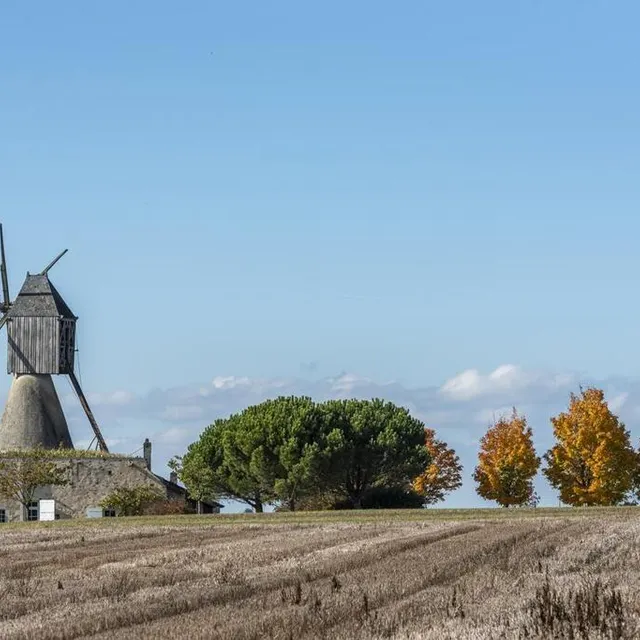 Le moulin à vent de Bourgdion, à Saint-Rémy-la-Varenne. Sébastien Gaudard, Anjou Tourisme photo le moulin à vent de bourgdion, à saint-rémy-la-varenne. © sébastien gaudard, anjou tourisme