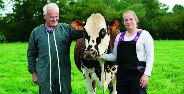 photo  la vache normande oreillette de françois et lucie foucault, éleveurs à briouze, dans l'orne, est l'égérie du salon de l'agriculture 2024.  &copy;  pparchet/sia2024 