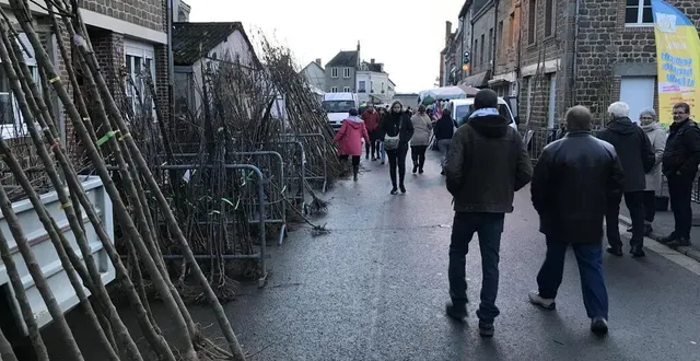 photo  la foire de la sainte-catherine est de retour à briouze, dans l’orne, du vendredi 17 au lundi 20 novembre 2023.  &copy;  archives ouest-france 