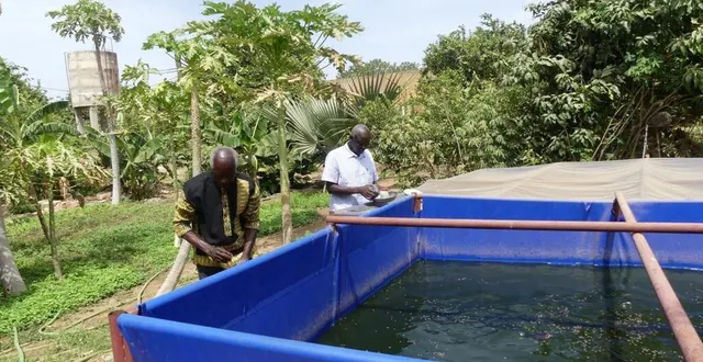 photo  maraîchage dans le village de peycouck sérère au sénégal.  &copy;  co 