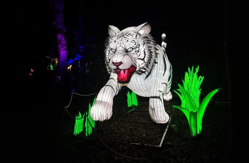 La nuit tombée, les Animaux de lumière illuminent les Terres de Nataé La nuit tombée, les Animaux de lumière illuminent les Terres de Nataé