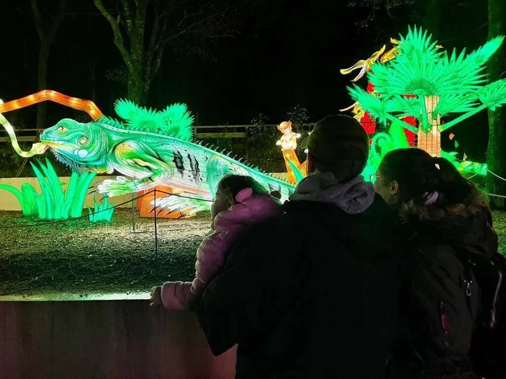 La nuit tombée, les Animaux de lumière illuminent les Terres de Nataé La nuit tombée, les Animaux de lumière illuminent les Terres de Nataé